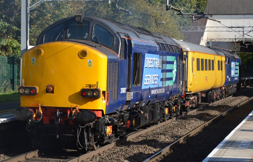 37607,
                977974 & 37603