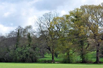 Elmdon
Park