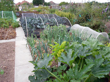 Best newcomer Plot in
        Birmingham