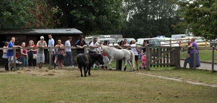 Sheldon Country
        Fair 03